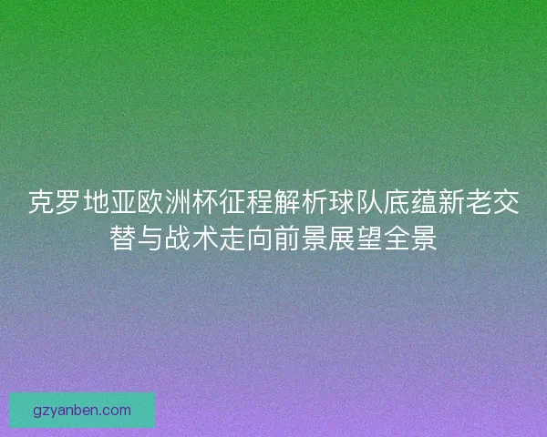 克罗地亚欧洲杯征程解析球队底蕴新老交替与战术走向前景展望全景
